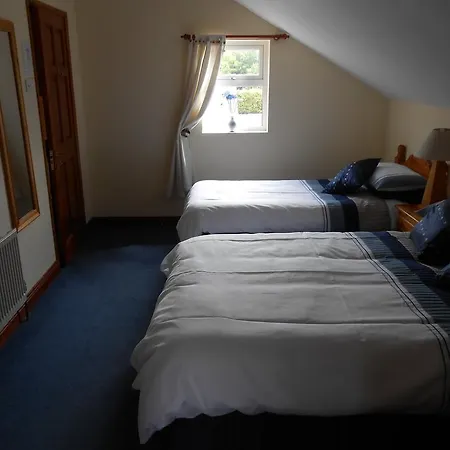 Couette-café Birchdale House Rathdrum