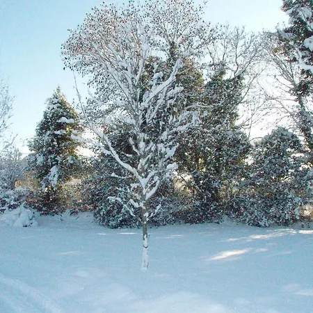 Panzió Birchdale House 4*