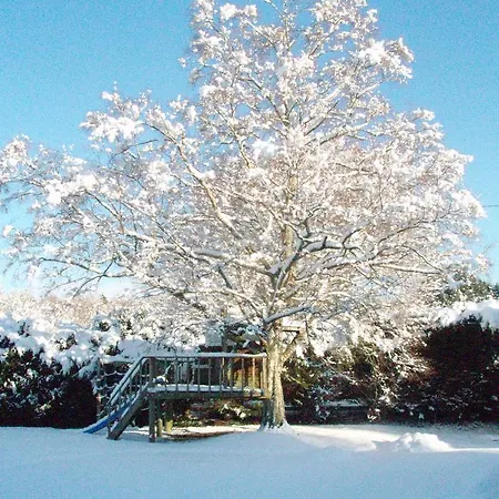 Birchdale House Rathdrum