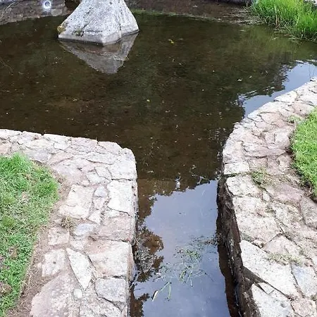 Birchdale House Panzió Rathdrum