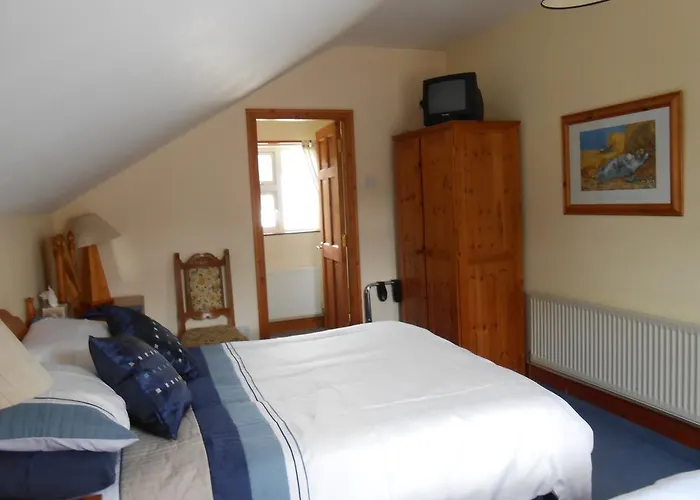 Bed and breakfast Birchdale House