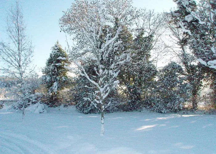 Bed and breakfast Birchdale House 4*