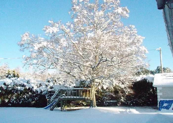 Birchdale House Rathdrum