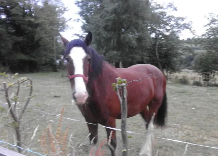 Birchdale House לינה וארוחת בוקר ראת'דרום