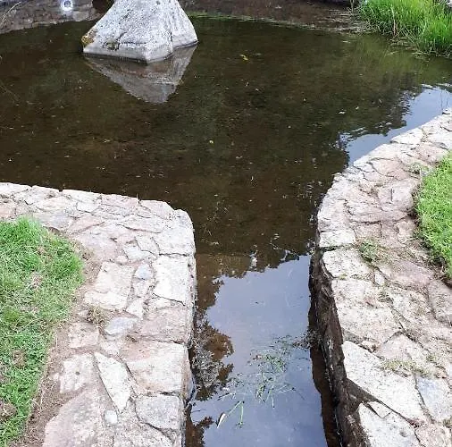 Birchdale House לינה וארוחת בוקר ראת'דרום